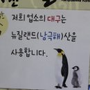 강가네볼테기 이미지