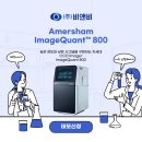 주식회사 비엔비 이미지