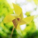 (자격증 취득과정) 분노조절지도사 이미지