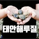 밧개오션텔 이미지