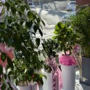 세븐일레븐 대구가창점 이미지