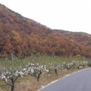 영천시 매산 고택과 산수정 이미지