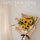 스노우폭스플라워 이미지