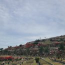 삼덕공원 이미지