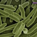 수성부부한의원 이미지