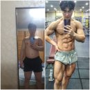 업투라페스타 이미지