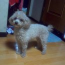 신흥1동 이미지