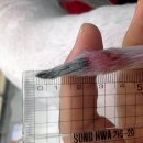 광명시티동물병원 이미지