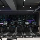 Team on gym 이미지