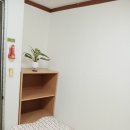 선호스테이 이미지