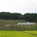 명순이네 이미지