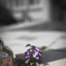 1286 | 1286. 수영강습 1주일 후기