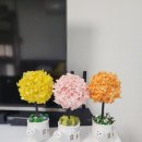 달래네 하우스 이미지