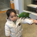 하이애니멀샵 이미지