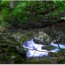 김삿갓면-19 이미지