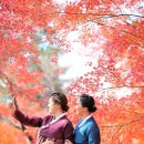 월드크리닝 해운대지사 이미지