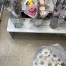 무시무시(Mushi Mushi) 로고