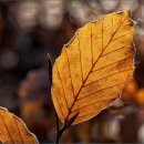 컴퓨터교실(초급) 한글과 인터넷, 스마트폰 활용 | 타자연습 바로가기 한글과컴퓨터