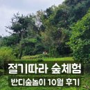 CU 의왕 내손 갈미점 | 의왕 모락산 반디숲놀이 &#39;절기 따라 숲체험&#39; 10월 수업 후기