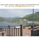 스타할인마트 이미지