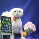 지오살롱