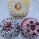 포핏 | 포핏 강아지 수제간식 수제케이크 미니구겔호프3종 후기