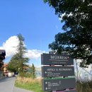 (주)오버란트 | [스위스] 🇨🇭 라우터브루넨의 숨겨진 카프리(Car-free) 산악 마을 "뮈렌(Mürren)" ㅣ 🪵뮈렌통나무 '인생...