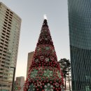 러시아 상트페테르부르크 국립발레단 <호두까기인형> 이미지