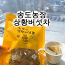 자자 농장 | [리뷰] 환절기 건강 관리의 시작, 송도농장 버섯 티 한 달 음용 솔직 후기