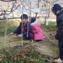 금반농장 이미지