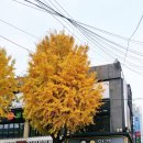 글라스월드 역곡점