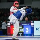 용인대스타태권도 이미지