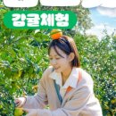 CU 창천점 네이버블로그