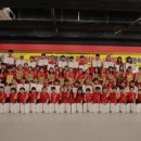 경희대드림태권도 이미지