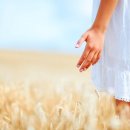 라온컴퓨터 이미지