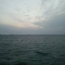 제주그밤 이미지