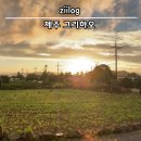 그리하오 | 제주 서쪽 감성 숙소 추천 :: 그리하오