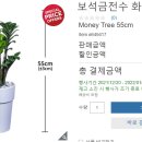 (주)코첸
