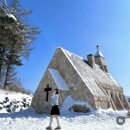 ㈜현대관광렌트카 스마일영업소 | [강원도 대관령 2박3일 일정 공유] 한국의 삿포로, 삼포로 ❄️