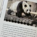 송가네빈대떡 네이버블로그