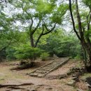 초옥동천 네이버블로그