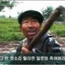 마리김밥 네이버블로그