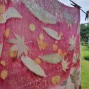 너울농장 이미지