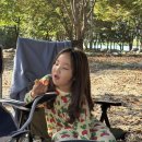 은빛물결캠핑장 | [경기도 가평-은빛물결캠핑장] 아이와 함께하는 트레일러 캠핑 후기