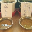 현미용