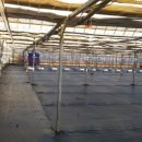 정금농장 이미지