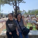 이용인 타이어 이미지