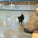 까페 개정촌 이미지