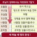 가시떨기 위에 떨어진 씨, 좋은 땅에 떨어진 씨. 못된 나무와 좋은 나무 비유 그 생명의 정체성.(마 13:7-17) 절 강해 말씀 이미지