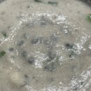 사랑방다슬기 이미지